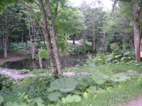 s_PICT0380.jpg